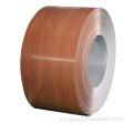 Ral Color Prime Prime Preecainted Galvanized Steel Coil